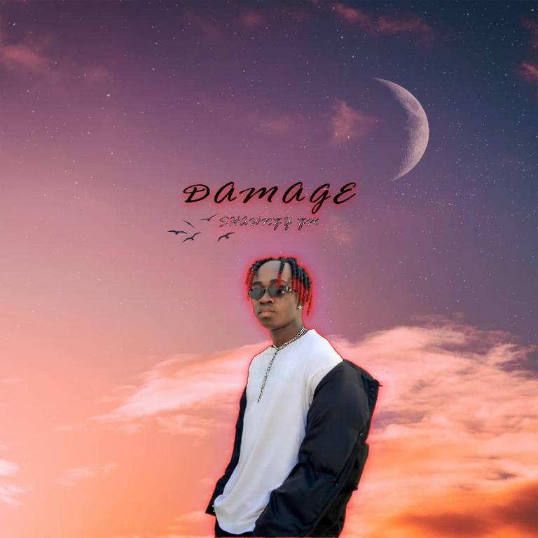 Shawnzy zm - Damage