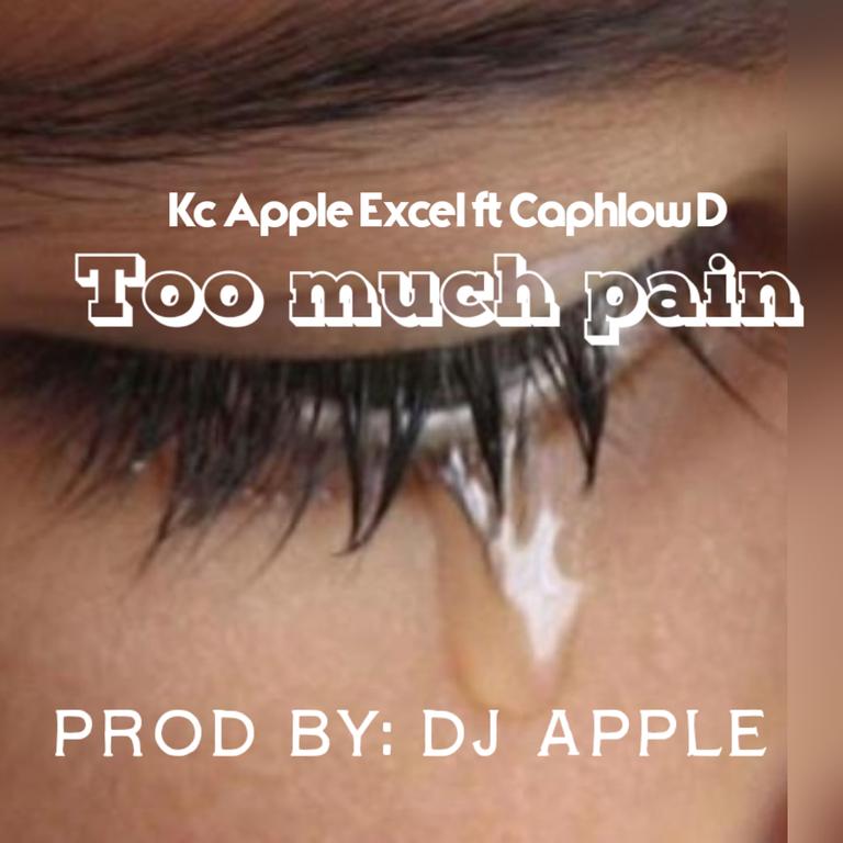 Kc apple excel ft Caphlow D
