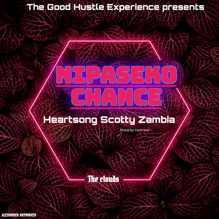 Heartsong Scotty ZM - Nipaseko chance