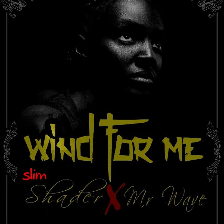 Slim shader ft Mr wave - wind for me